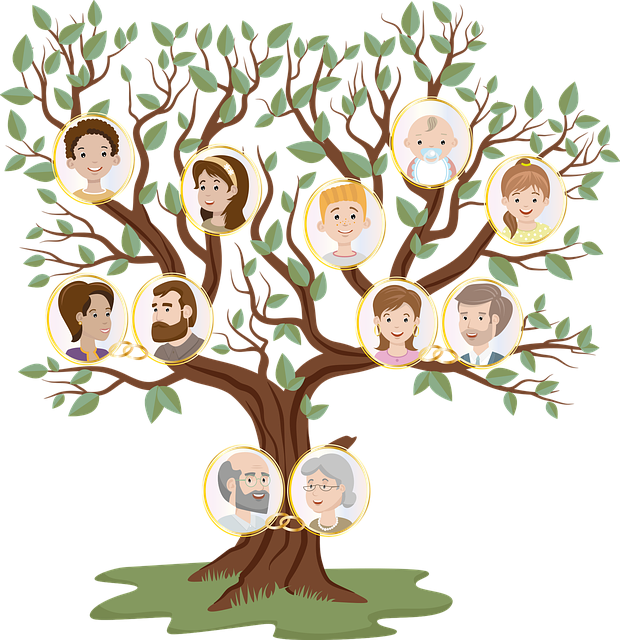 Family tree g117da553d 640